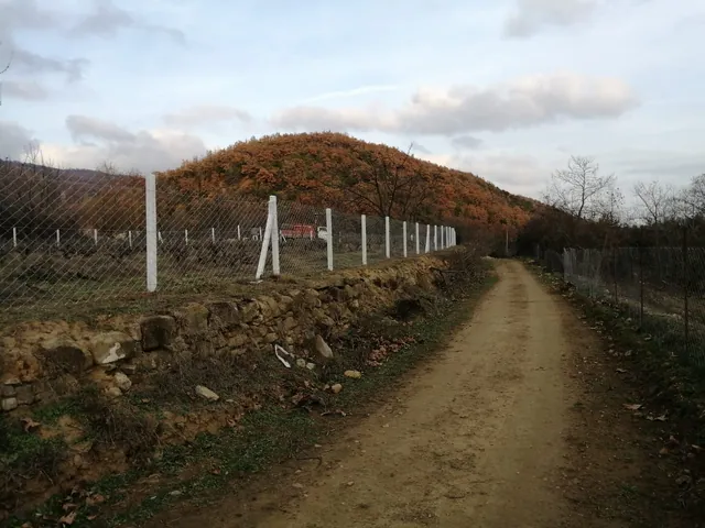 Yol kenarında beton direkli tel çit hattı