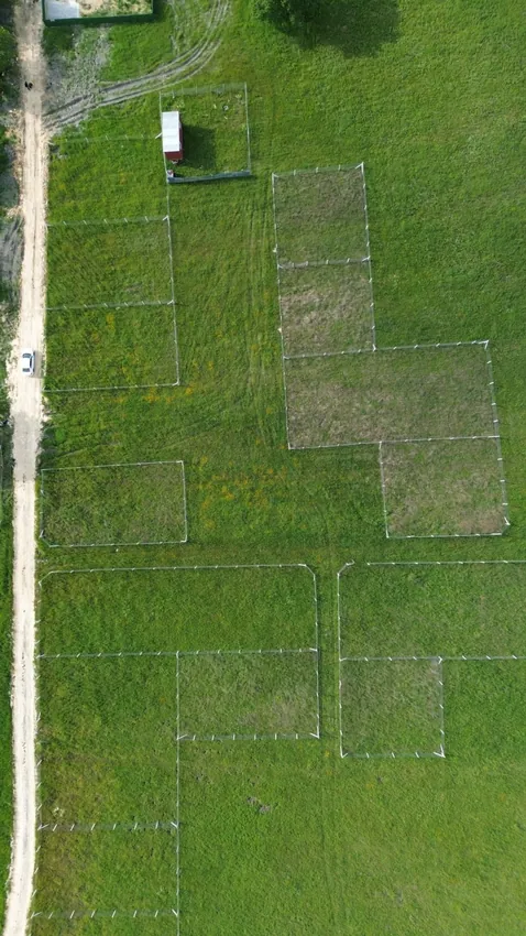 Yeşil alanın yukarıdan dikey drone görünümü